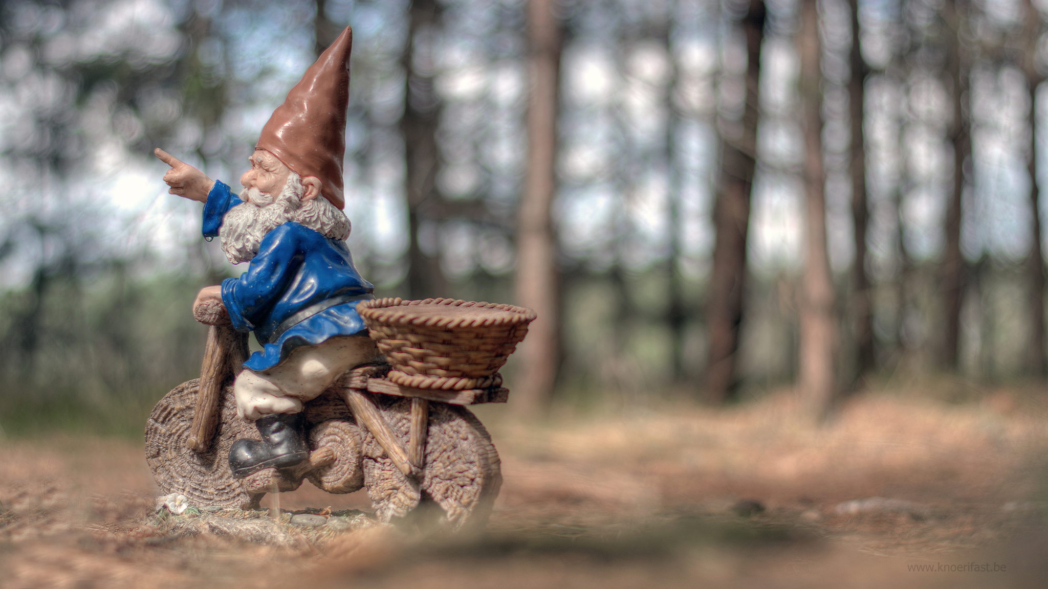 Gnome pointing the way ...