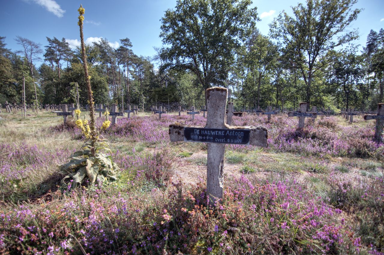 Abandoned psychiatric hospital cemetery, Oud-Rekem (B) ...